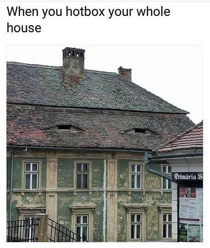 dank memes. Week 12