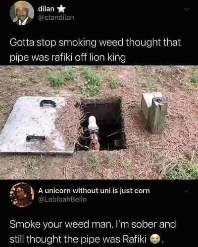 dank memes. Week 12