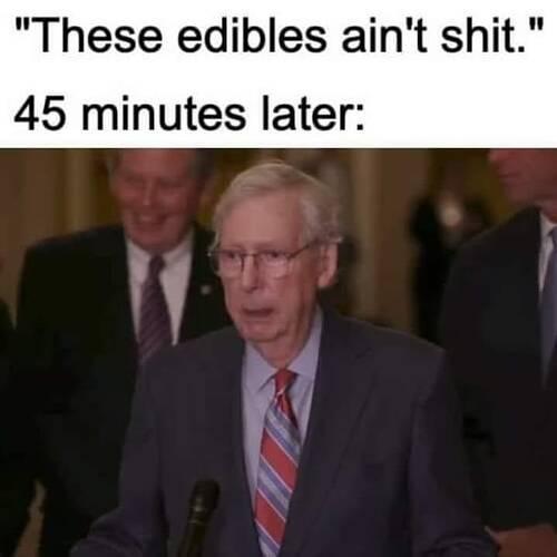 dank memes. Week 12