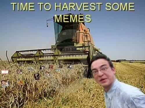 dank memes. Week 13
