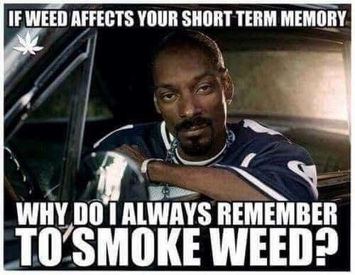 dank memes. Week 13