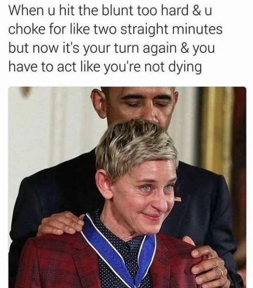 dank memes. Week 13