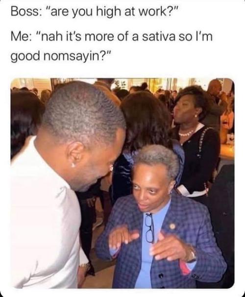 dank memes. Week 13