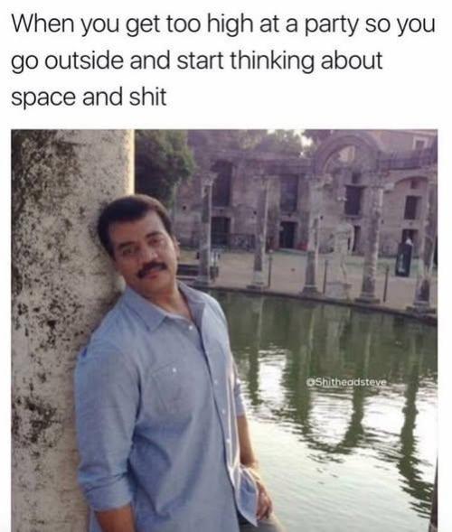 dank memes. Week 13