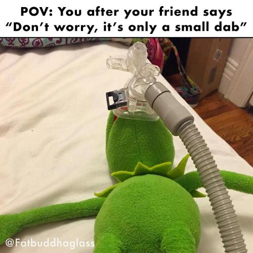 dank memes. Week 13