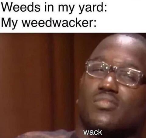 dank memes. Week 13