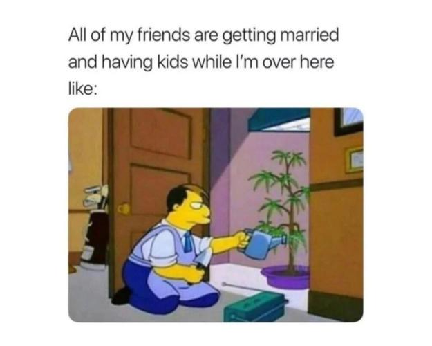 dank memes. Week 13