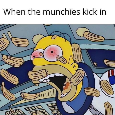 dank memes. Week 13