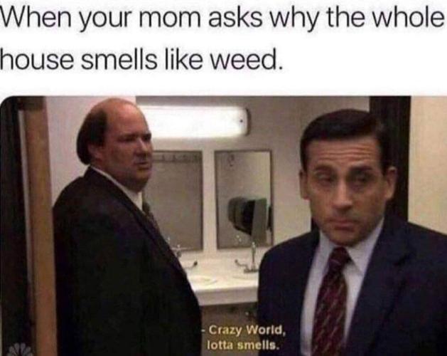 dank memes. Week 14