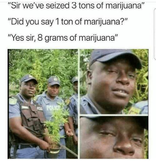 dank memes. Week 14