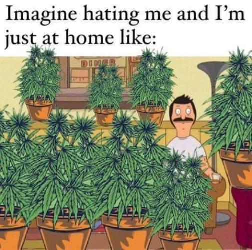dank memes. Week 14