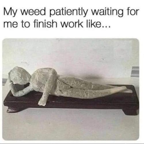 dank memes. Week 14