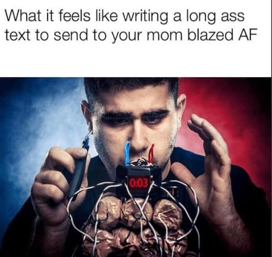 dank memes. Week 14