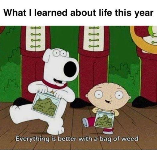 dank memes. Week 14