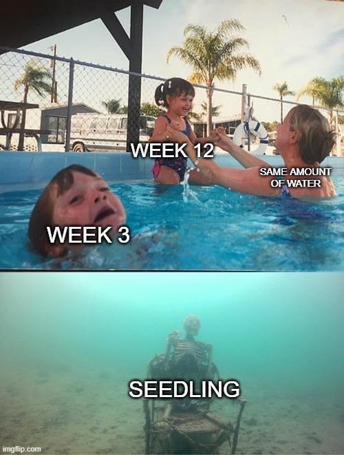dank memes. Week 15