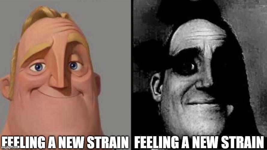 dank memes. Week 15