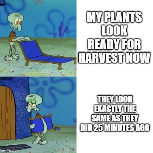 dank memes. Week 15