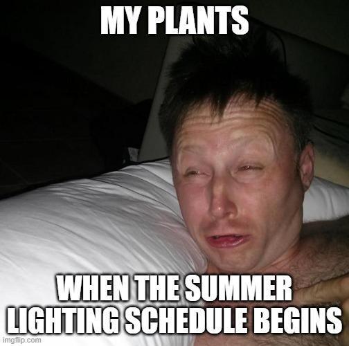 dank memes. Week 15