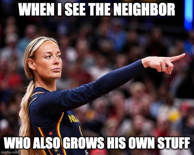 dank memes. Week 15