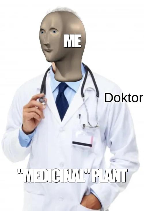 dank memes. Week 16