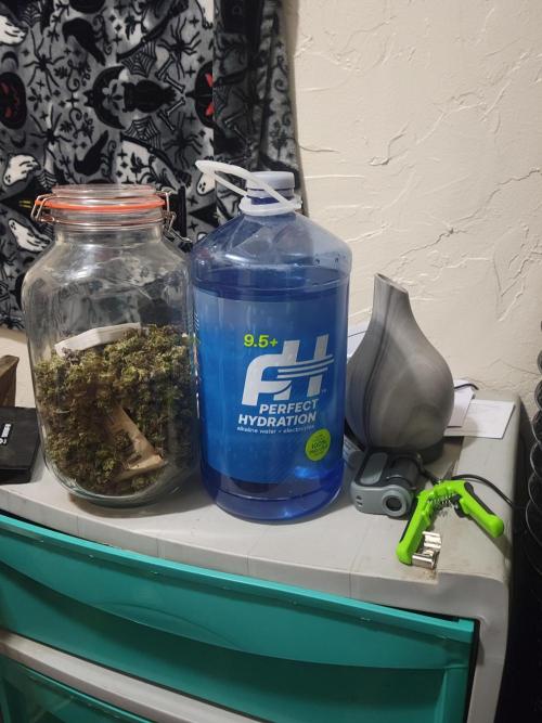 Micro Grow can it yeild?. Week 11