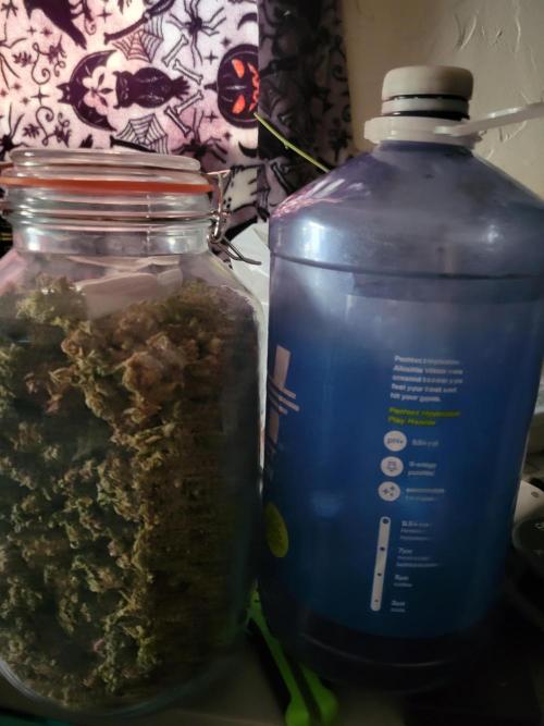 Micro grow can it yeild? #2. Week 12