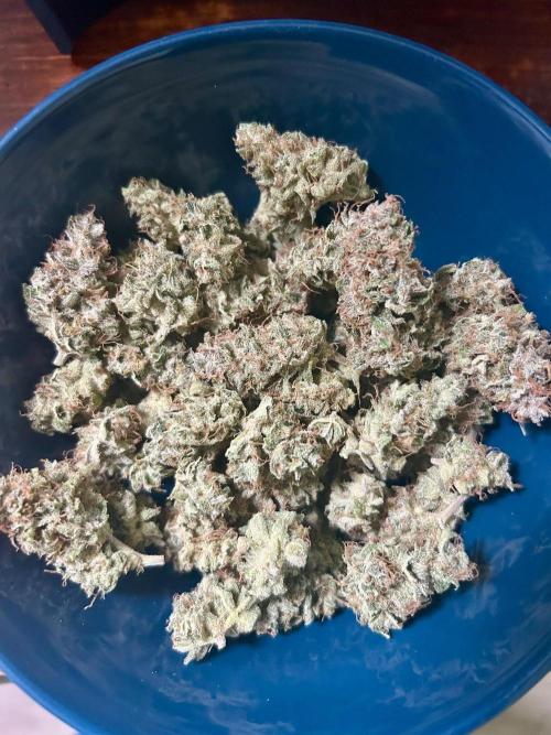 RQS x OSSC. Week 14