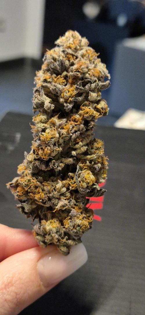 3. Indoor grow. Week 16