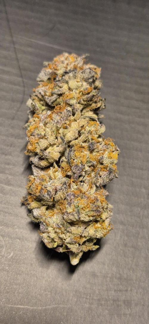 3. Indoor grow. Week 16