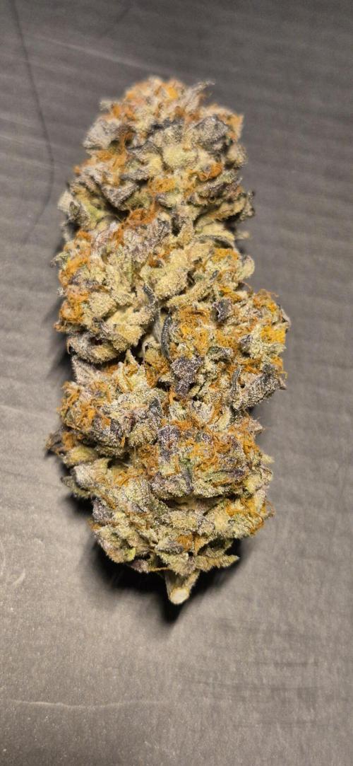 3. Indoor grow. Week 16