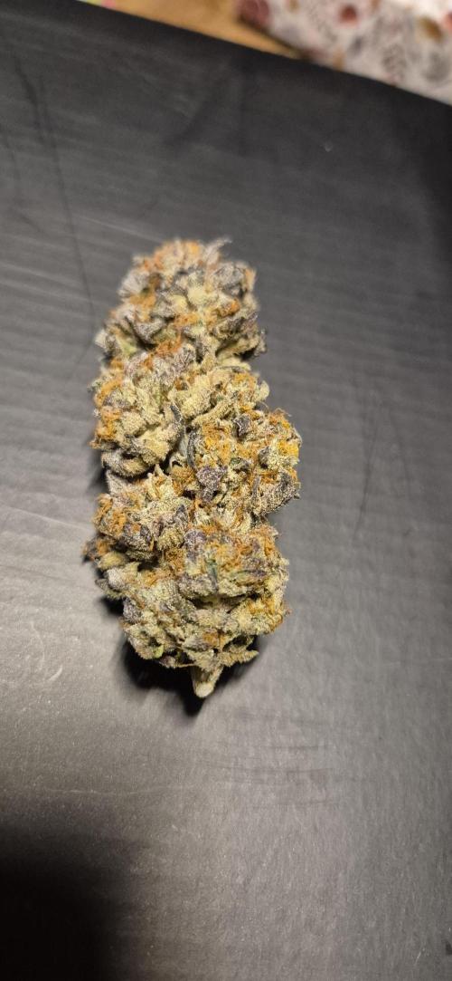 3. Indoor grow. Week 16