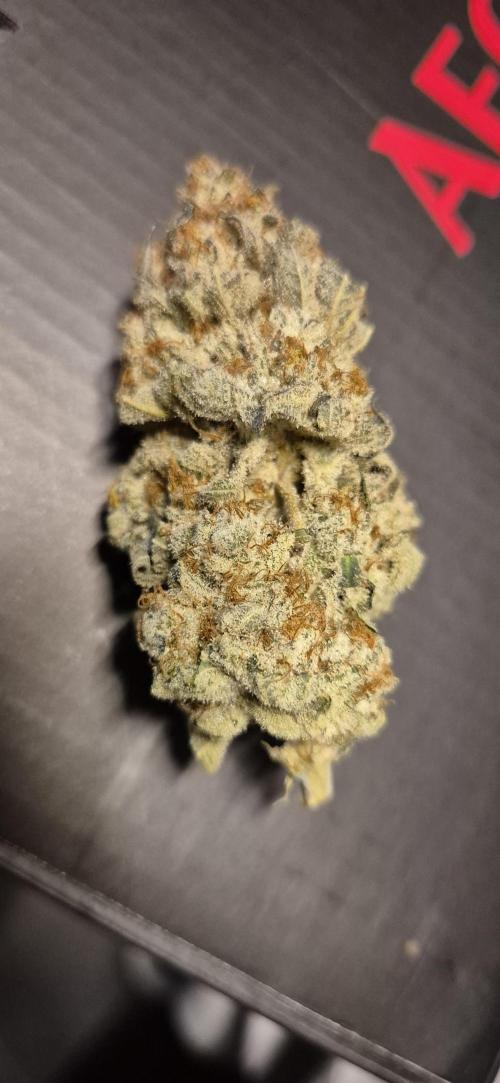 3. Indoor grow. Week 16