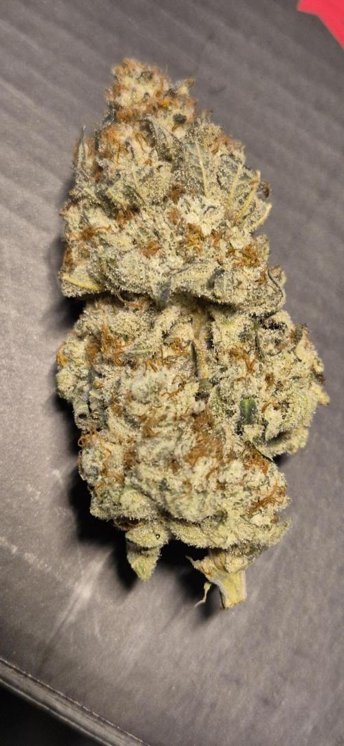 3. Indoor grow. Week 16