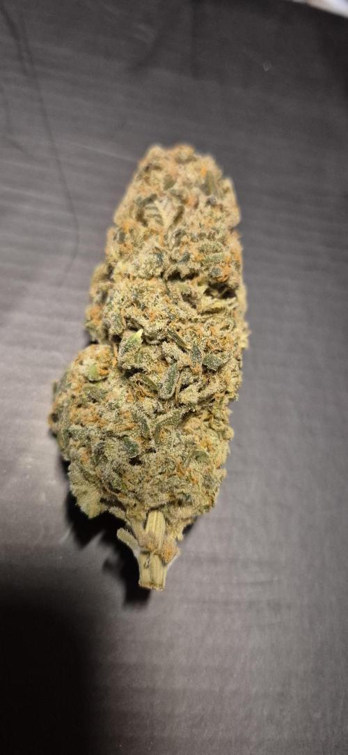 3. Indoor grow. Week 16