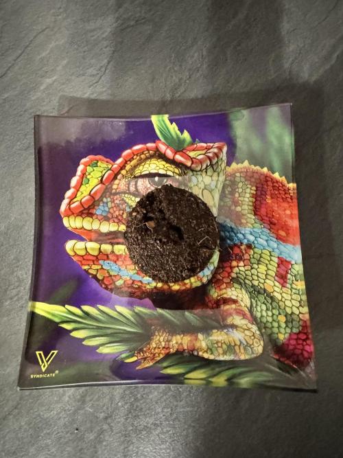 Trippy 2nd DWC Experience (FB LSD-25). Week 0