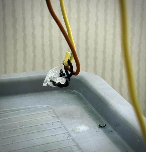 Trippy 2nd DWC Experience (FB LSD-25). Week 6