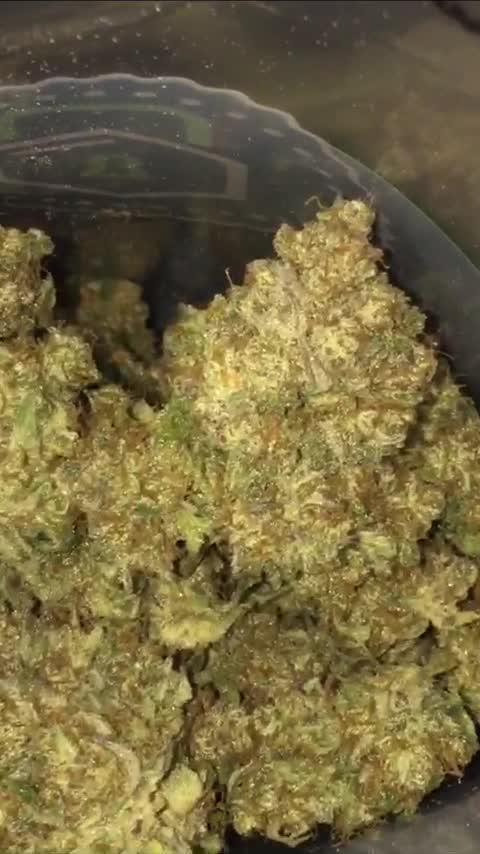 First livingsoil grow &1st in 10yr+