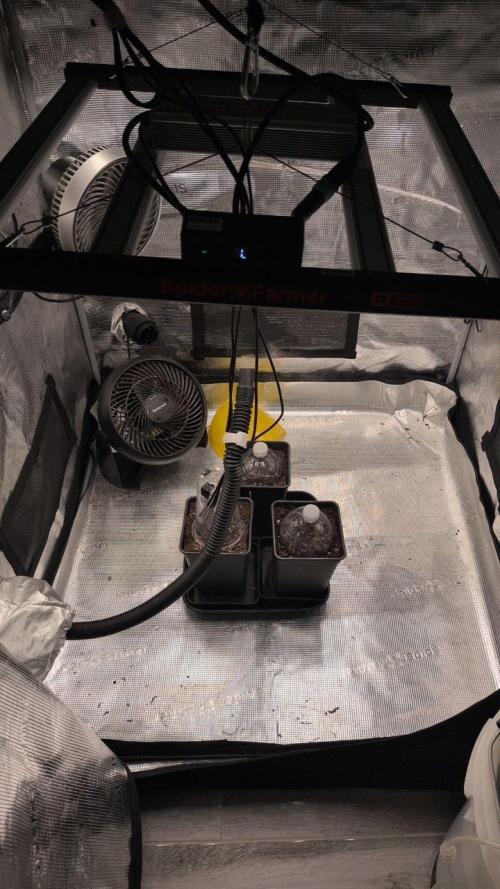 Dibbers Bubba Cheesecake. Week 16 - Reset needs a clean but it was late so thats todays job. 