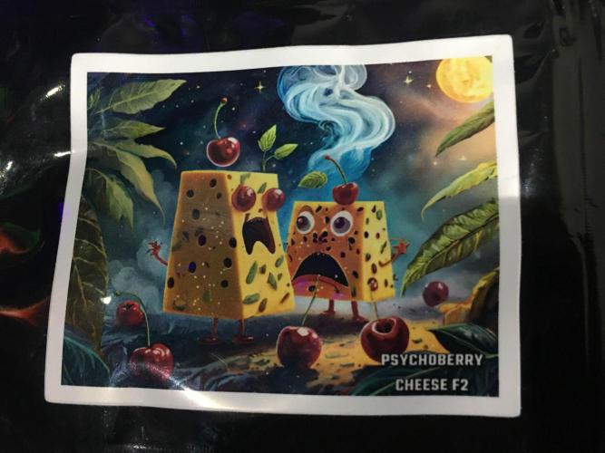 Dibbers Psychoberry Cheese F2 x3. Week 0 - Psychoberry Cheese F2 by Dr Organics 