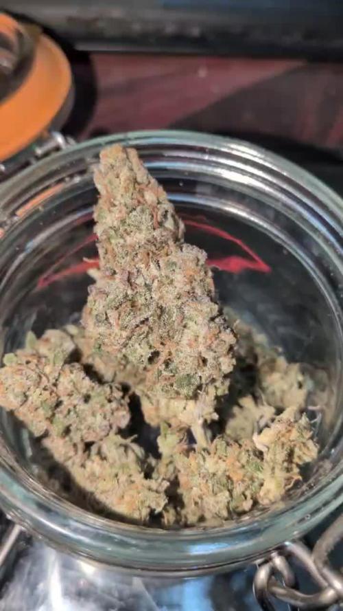 Dibbers 3x Badazz OG Cheese