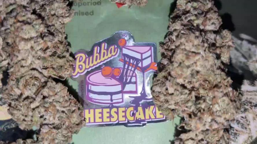 Dibbers Bubba Cheesecake