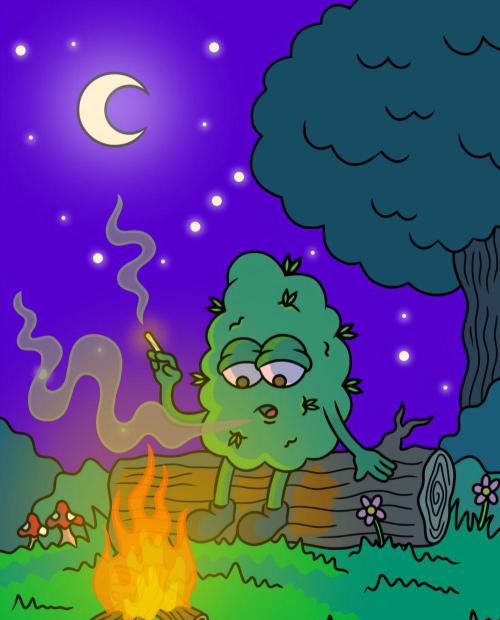 NL Original FastBud. Week 0