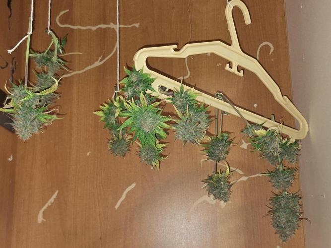 BPP #test 2️⃣. Week 9