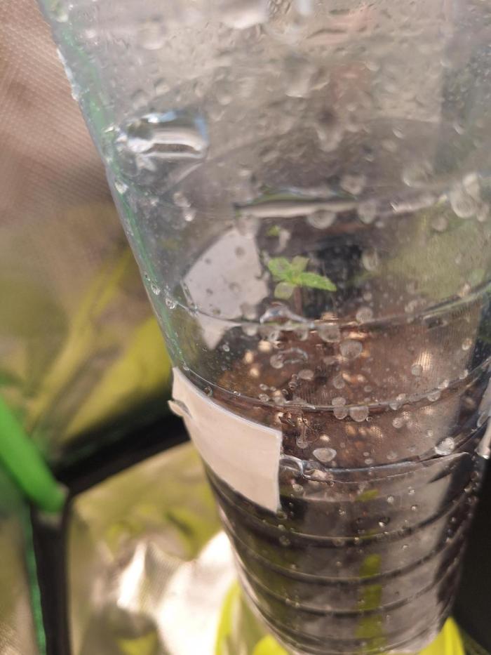 Nicole Kush #unknow. Week 1