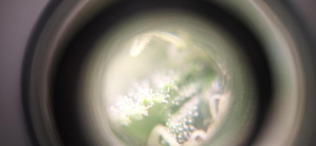 Nicole Kush #unknow. Week 10