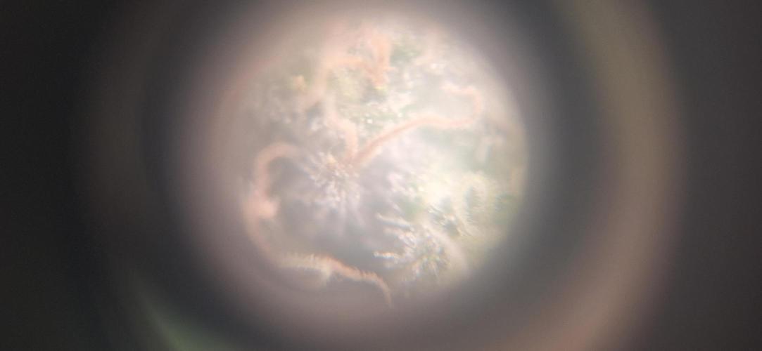 Nicole Kush #photo. Week 13