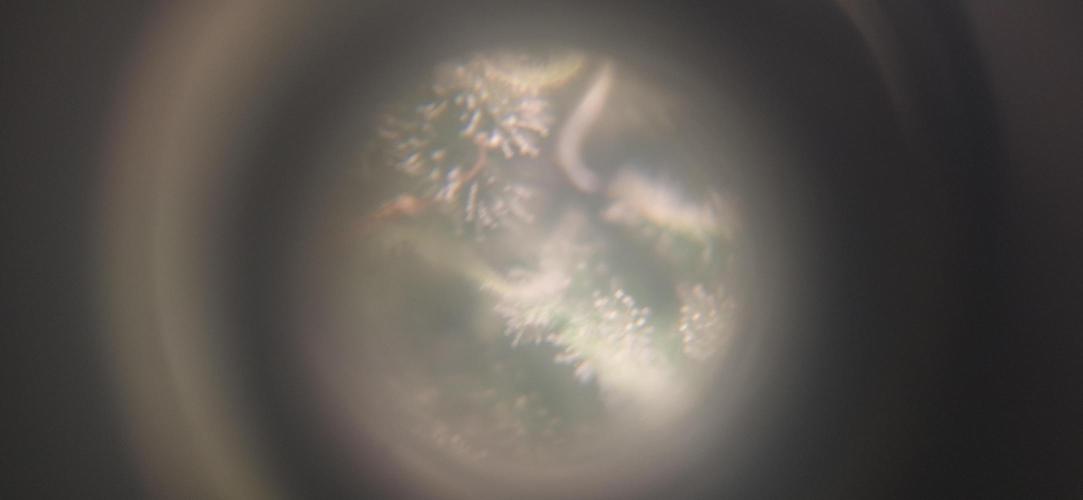 Nicole Kush #photo. Week 13