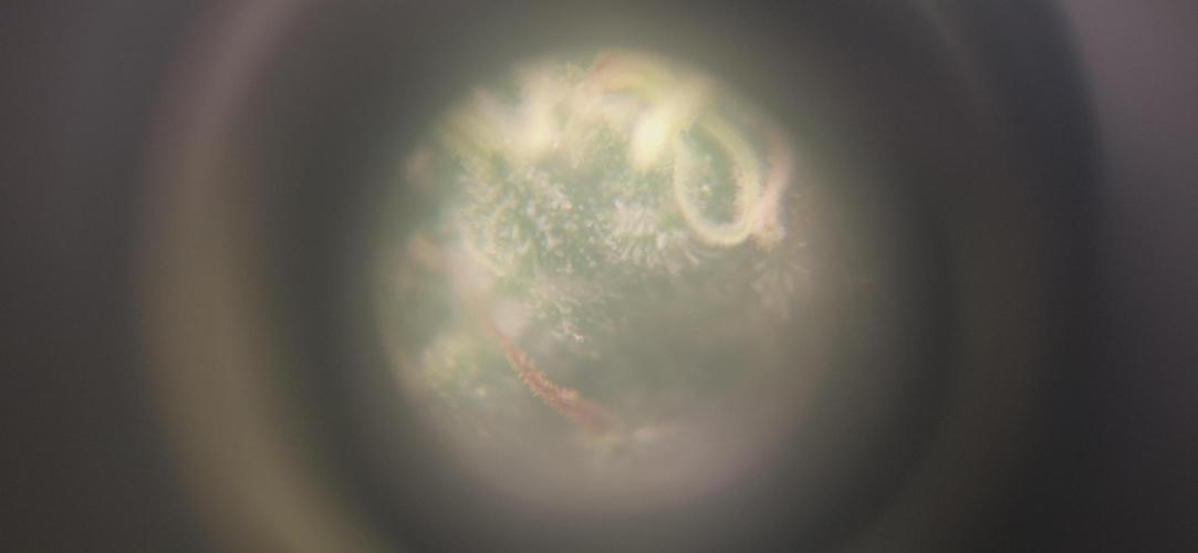 Nicole Kush #photo. Week 13