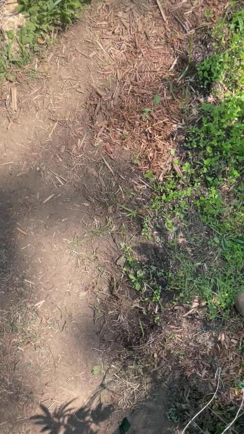 Ohio outdoor patch