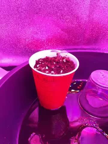 First Grows (2 by Accident)